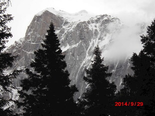 云雾缭绕的山林美景