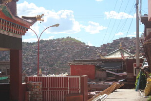 古雅建筑旁的街道风景