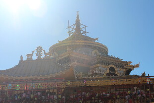 西藏寺庙前的壮观景象