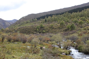 山间溪流旁的多彩自然景色