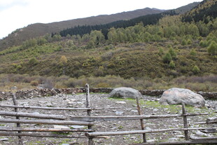 山间木栅栏围起的开阔地