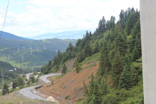 山间蜿蜒公路 绿树环绕