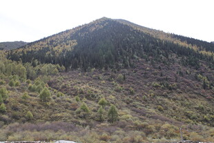 青山葱郁的秀丽山峰