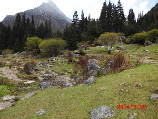 山间绿野 自然美景如画