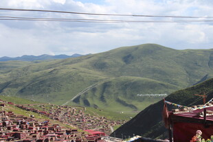 山坡下热闹的人群场景
