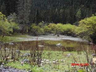 山间静谧小池塘