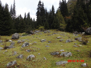 山林间的草地与散落石块