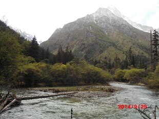 山间溪流旁的秀丽山林景色