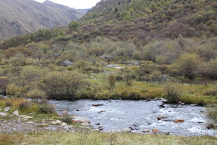 山间溪流 自然野趣之景