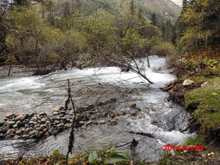 山间溪流 自然野趣之景