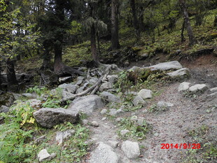 山间碎石小径 绿意环绕