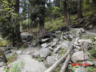 山间小径 穿梭于林木石间