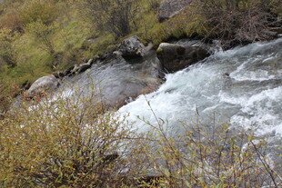 山间湍急溪流景观