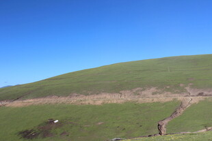 草原风光 远处有人与动物