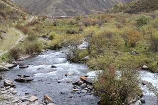 山间溪流 秋色中的自然美景
