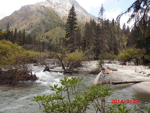 山间溪流旁的自然景致