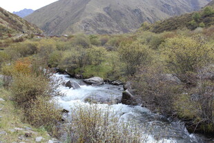 山间溪流 自然野趣之景