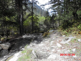 山间石径 自然清幽之景