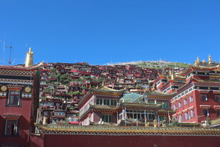 藏式建筑群全景