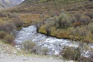 山间溪流 自然野趣之景