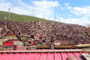 热闹的露天观众席场景