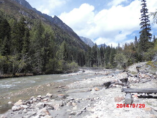山间河流旁的自然景致