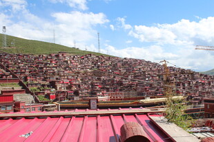 热闹的露天活动现场