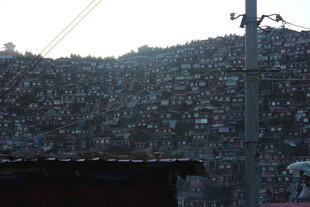 山坡上密密麻麻的房屋景象