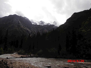 山间河流与茂密山林景观