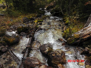 山间溪流潺潺 石木相依
