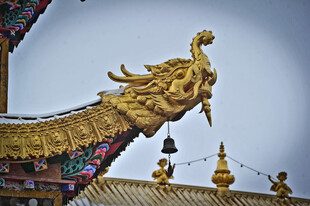 飞檐上的金色精美凤凰雕塑