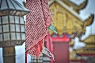 中式古风红绸与灯笼景致