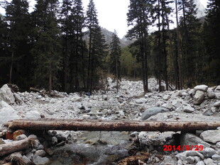 山间碎石与横卧树干景观