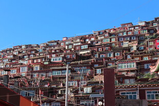 色达佛学院壮观红房景观