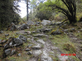 山间泥泞小径 自然景致