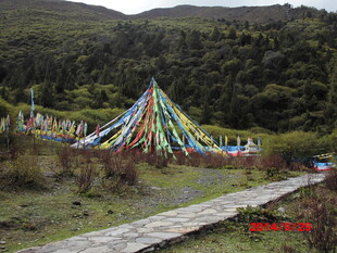 山间五彩经幡装点的小路