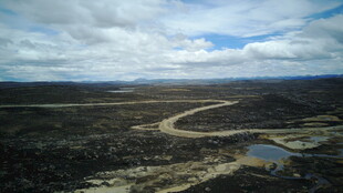 广袤原野上的蜿蜒道路