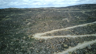 荒野中蜿蜒的泥土小路