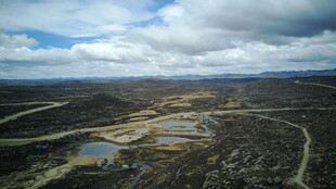 广袤原野间的湿地景观