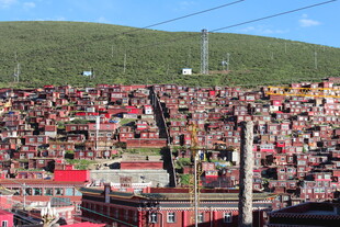 山坡下密集的多彩建筑群