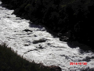 湍急溪流奔腾而下