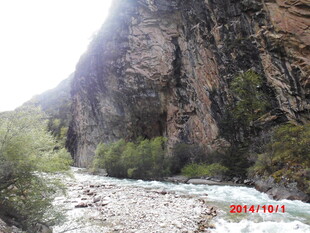 山间河谷岩石与绿植景观