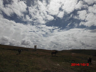 草原天空下的开阔景象