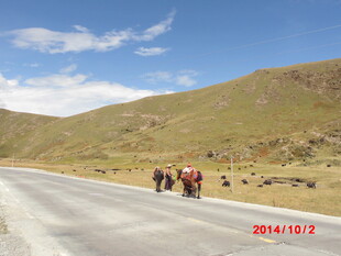 公路上的骑行者