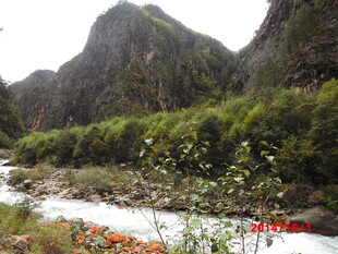 山间溪流旁的秀丽自然景