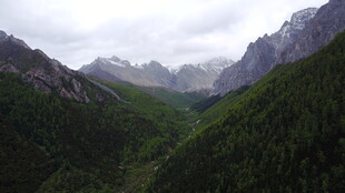 山间葱郁山谷风景