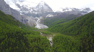 雪山下的翠绿山谷风光