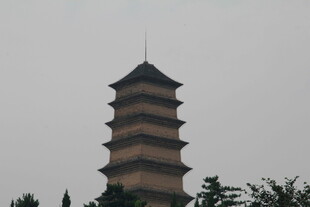 古朴多层塔 矗立绿树间