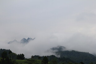 云雾缭绕的山峦美景