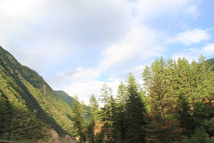 山间葱郁树林与蓝天白云